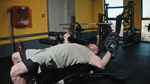 Intermediar (Next Level)