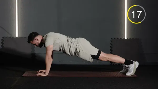 Intermediar (Next Level)