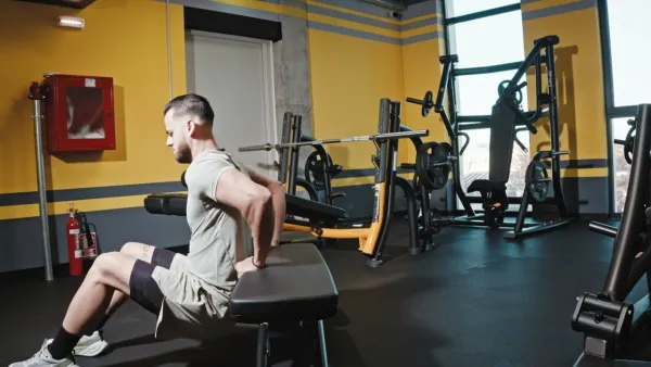 Intermediar (Next Level)