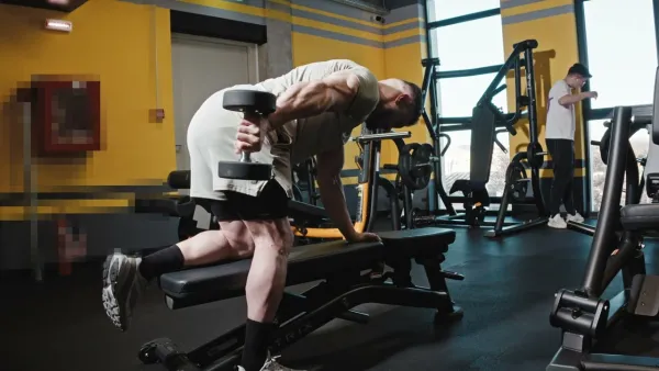 Intermediar (Next Level)